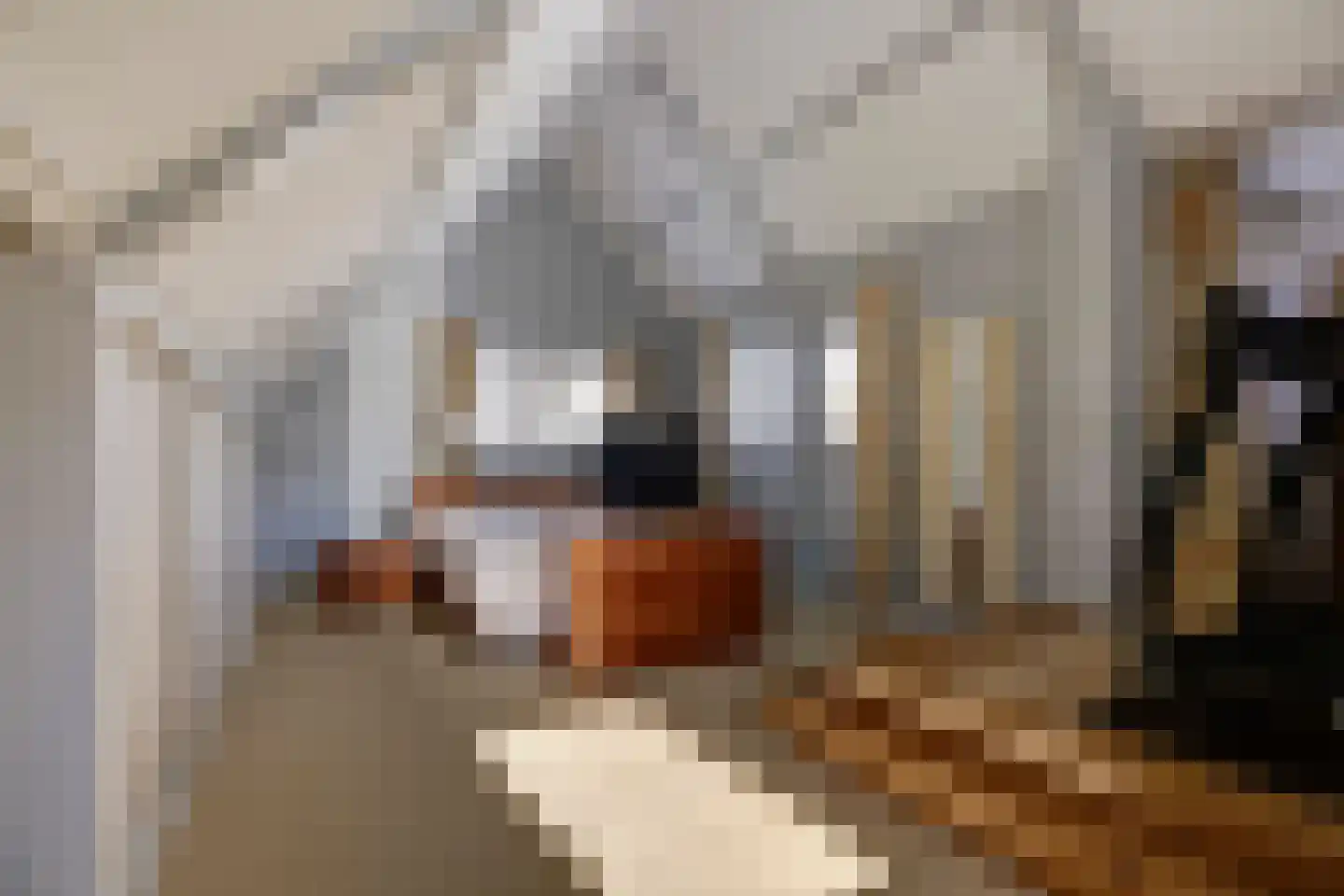 Noordzijde 39 Bodegraven thumbnail 35