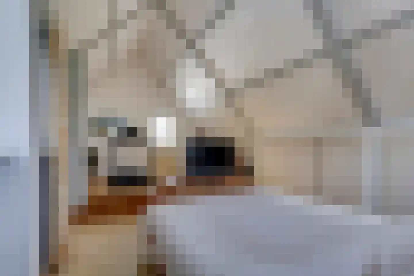 Noordzijde 39 Bodegraven thumbnail 37