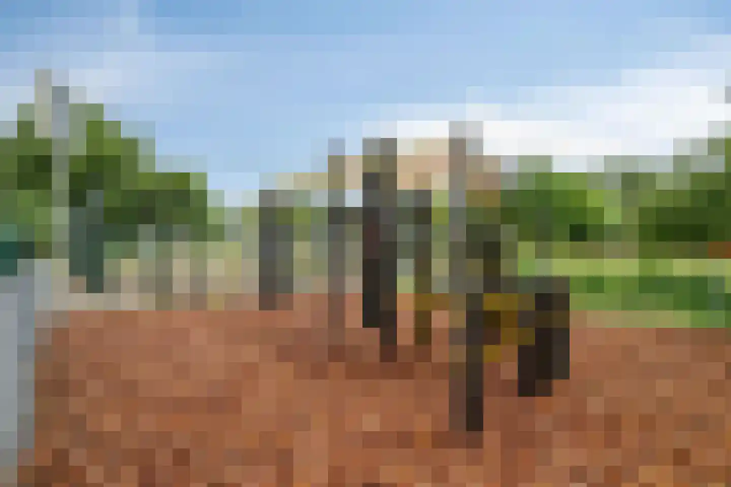 Noordzijde 39 Bodegraven thumbnail 52