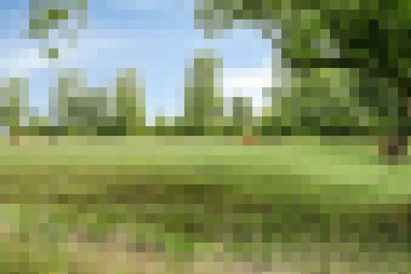 Noordzijde 39 Bodegraven thumbnail 53