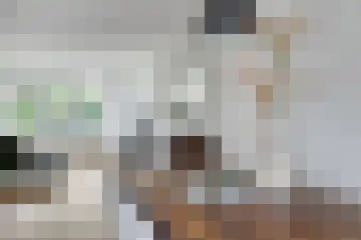 Noordzijde 77 Amsterdam thumbnail 11