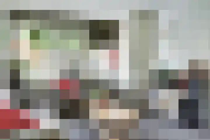 Noorse Wal 6 Hank thumbnail 11