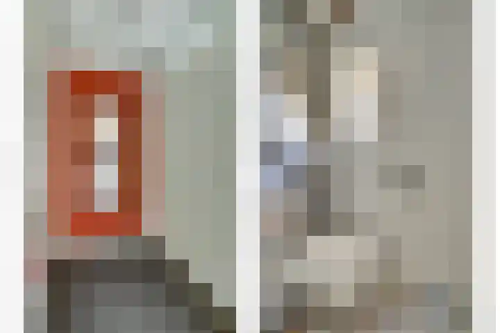 Noorse Wal 6 Hank thumbnail 17