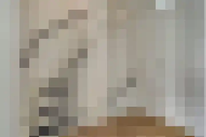 Noorse Wal 6 Hank thumbnail 18