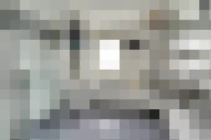 Noorse Wal 6 Hank thumbnail 19