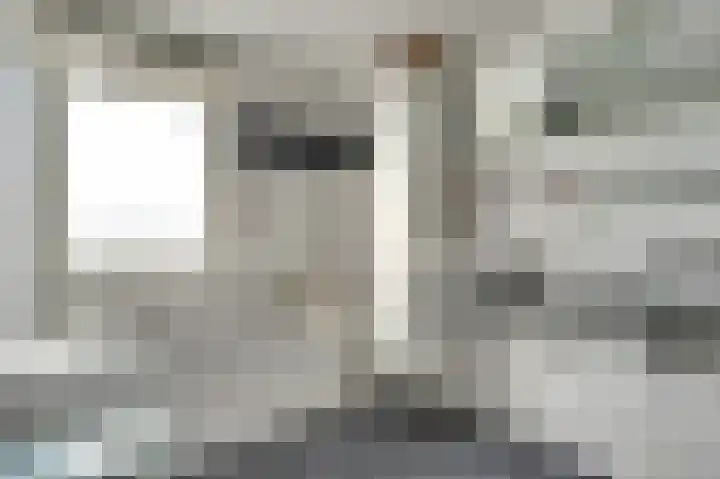 Noorse Wal 6 Hank thumbnail 20