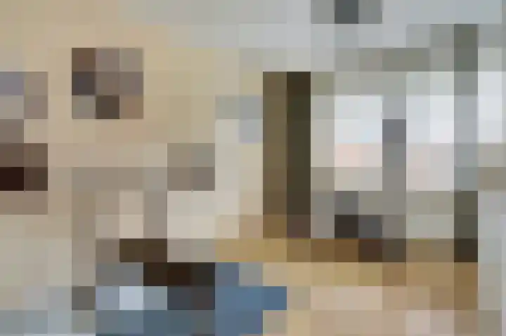 Noorse Wal 6 Hank thumbnail 24