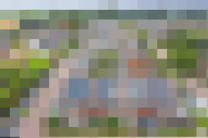 Noorse Wal 6 Hank thumbnail 41