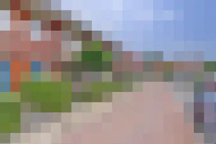 Noorse Wal 6 Hank thumbnail 43