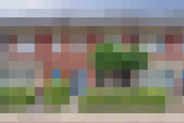 Noorse Wal 6 Hank thumbnail 48