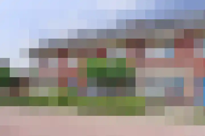 Noorse Wal 6 Hank thumbnail 6