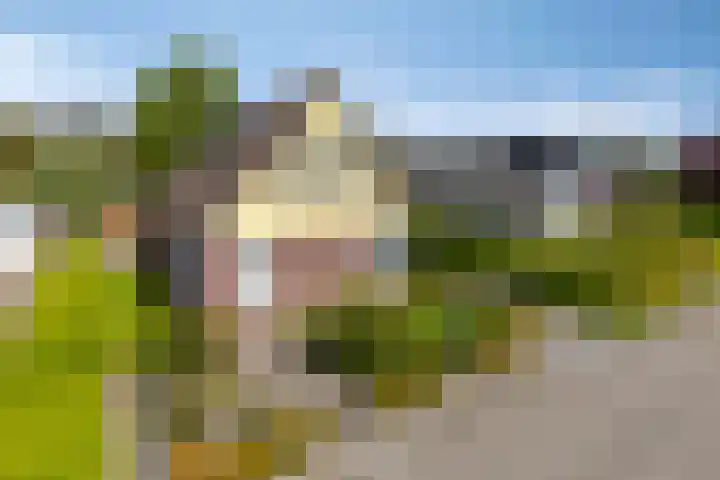 Team foto van Noort Makelaars