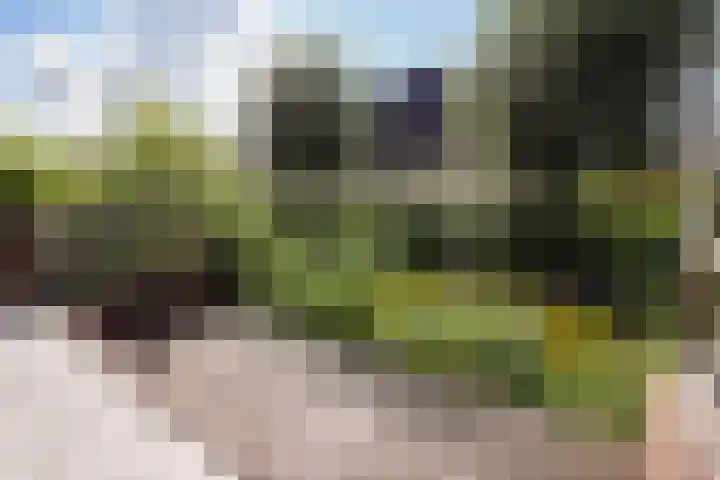 Noortdijk 9 Den Haag thumbnail 17