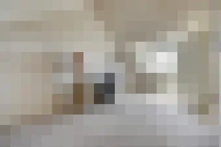 Noortdijk 9 Den Haag thumbnail 32