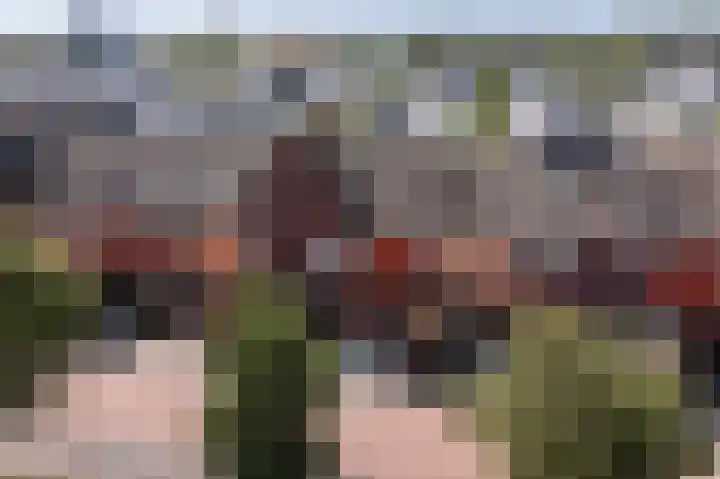 Noortdijk 9 Den Haag thumbnail 5