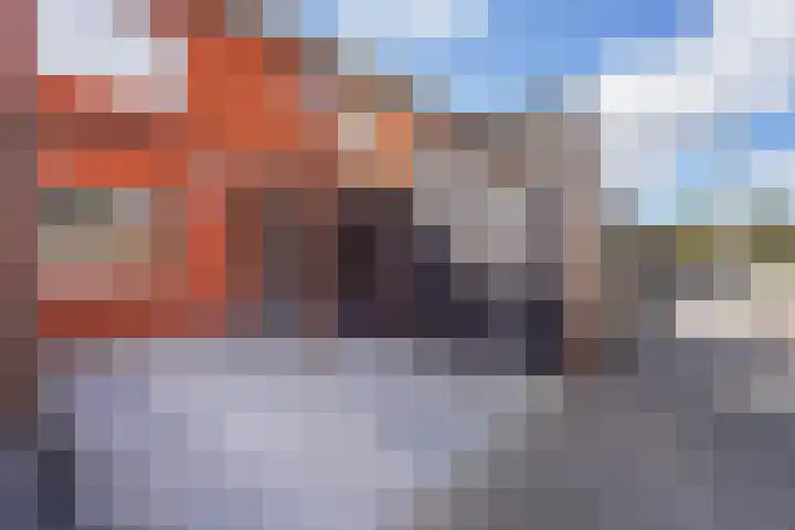 Noortdijk 9 Den Haag thumbnail 6