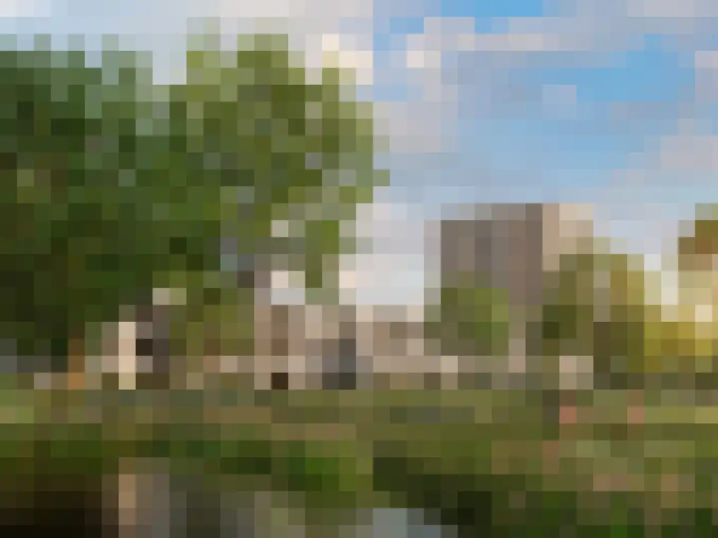 Norbartlaan 4 Roosendaal foto 3