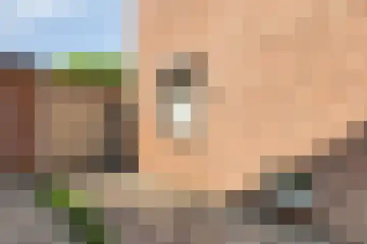 Norbartstraat 13 Made thumbnail 30