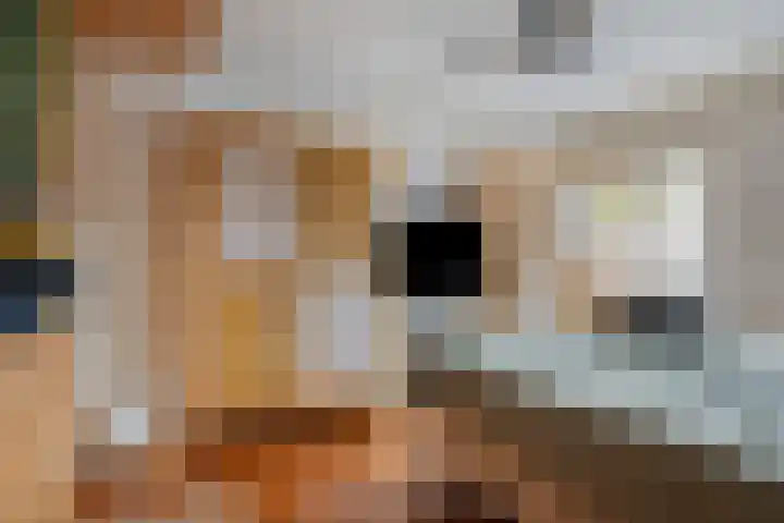 Norbartstraat 3 A Made thumbnail 21