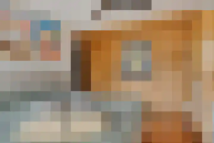 Norbartstraat 3 A Made thumbnail 22