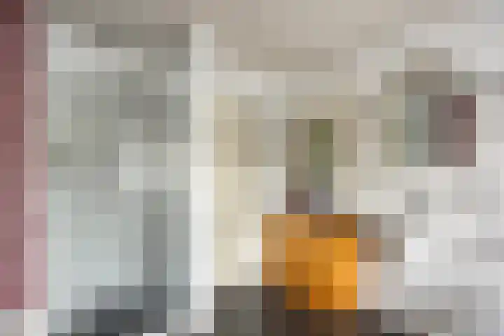 Norbartstraat 3 A Made thumbnail 23