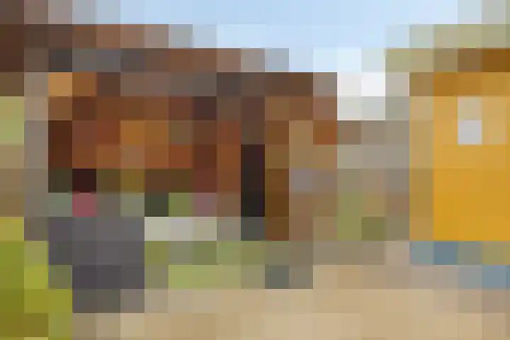 Norbartstraat 3 A Made thumbnail 34