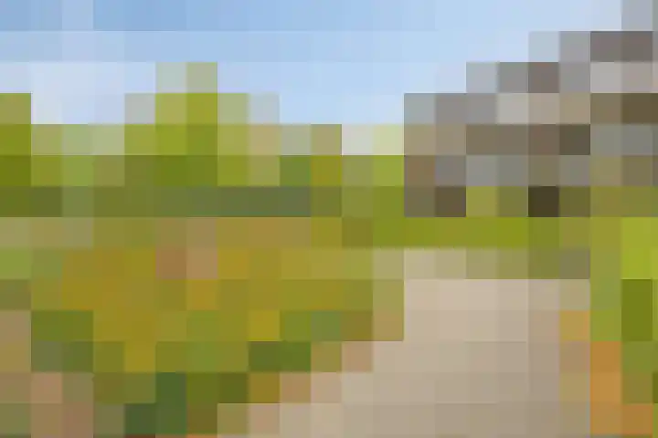 Norbartstraat 3 A Made thumbnail 36