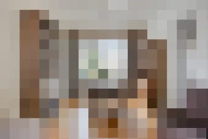 Norbertijnerstraat 37 Elshout thumbnail 18