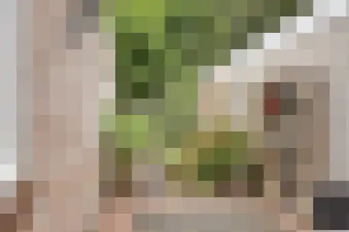 Norbertijnerstraat 37 Elshout thumbnail 39
