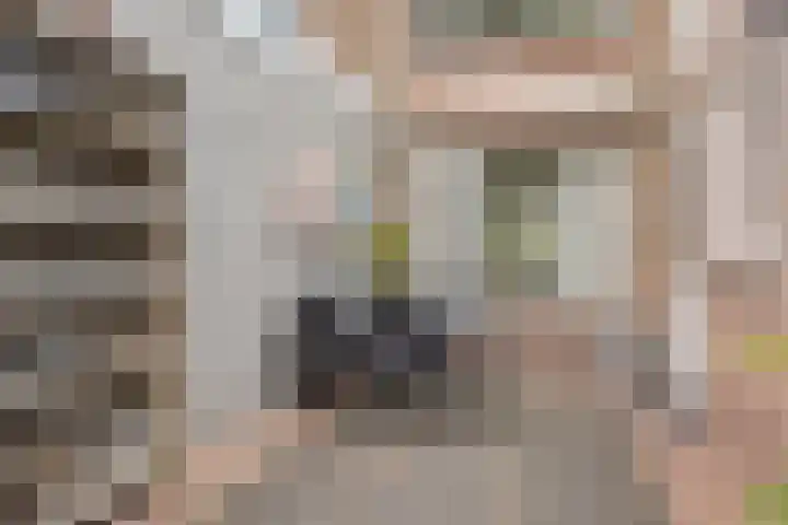 Norbertijnerstraat 37 Elshout thumbnail 43