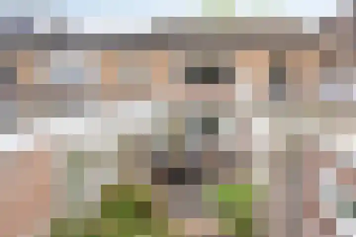 Norbertijnerstraat 37 Elshout thumbnail 45