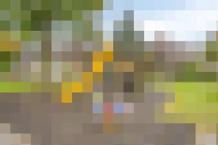Norbertijnerstraat 37 Elshout thumbnail 51