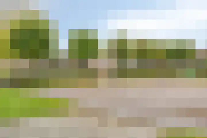 Norbertijnerstraat 37 Elshout thumbnail 52