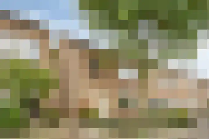 Norbertijnerstraat 37 Elshout thumbnail 7