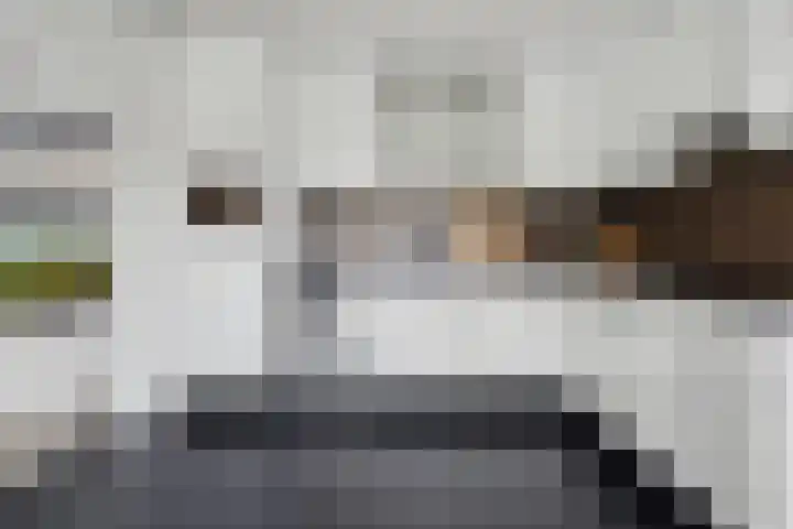 Norbertijnerstraat 53 Elshout thumbnail 11