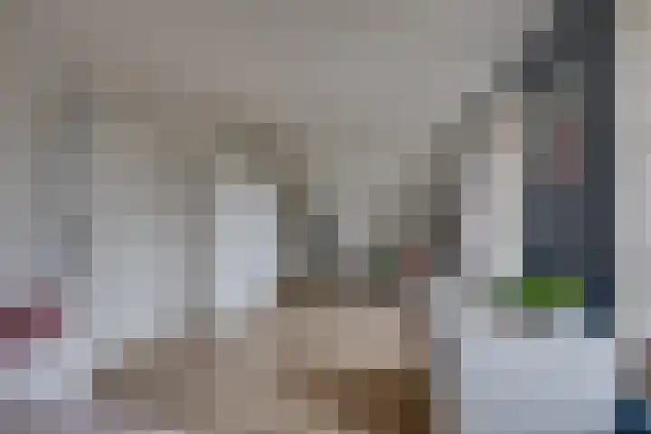 Norbertusdreef 24 Willemstad thumbnail 23