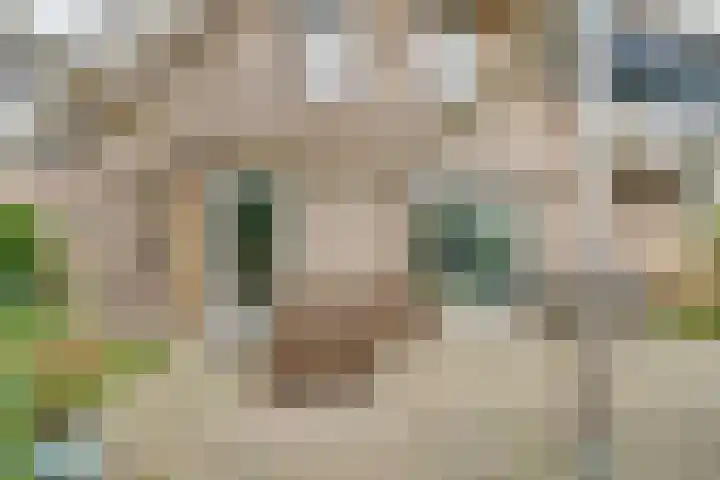 Norbertusdreef 24 Willemstad thumbnail 38