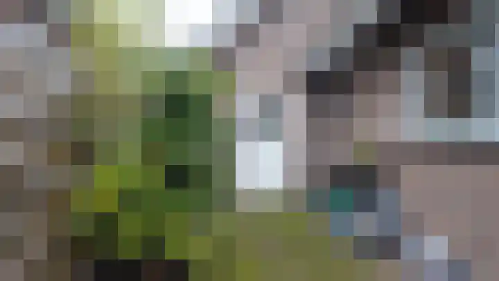 Norbertusdreef 24 Willemstad thumbnail 41