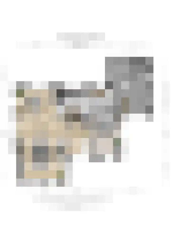 Norbertusdreef 24 Willemstad thumbnail 42