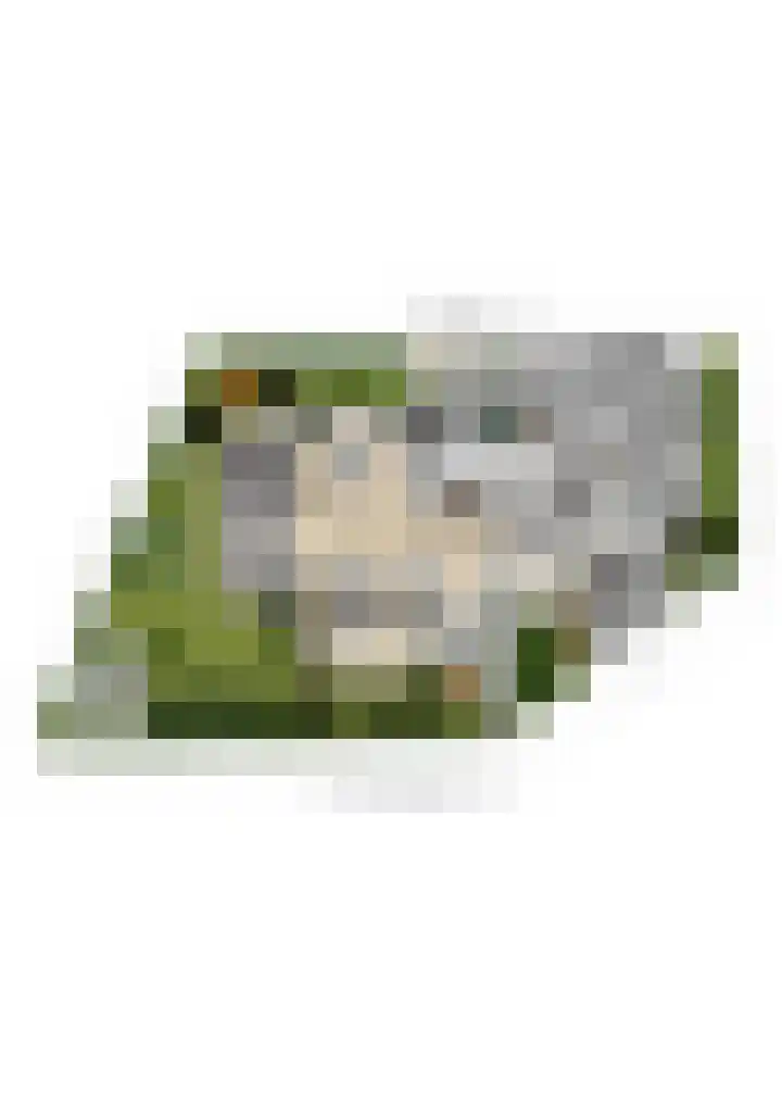 Norbertusdreef 24 Willemstad thumbnail 51