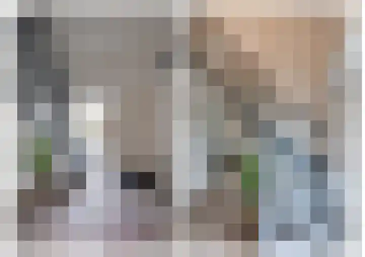 Norbertusdreef 24 Willemstad thumbnail 8