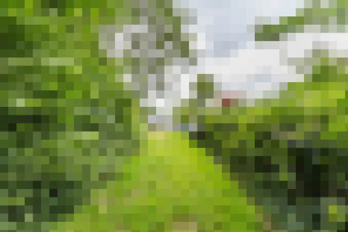 Norgervaart 1 Bovensmilde thumbnail 26