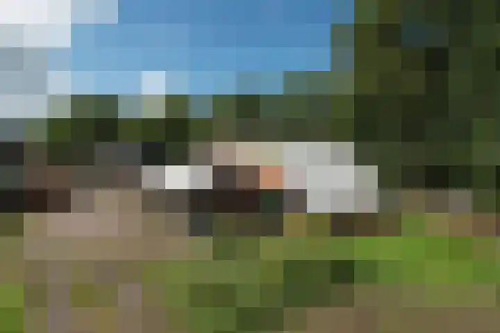 Norgerweg 137 Yde thumbnail 30