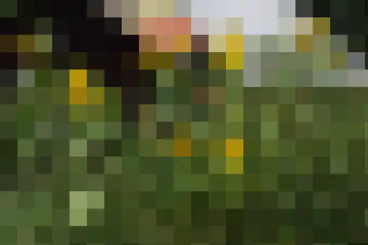 Norgerweg 137 Yde thumbnail 31