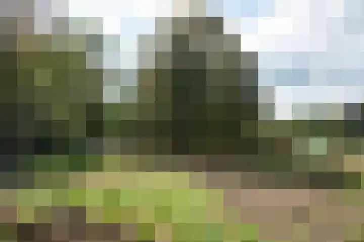 Norgerweg 137 Yde thumbnail 36