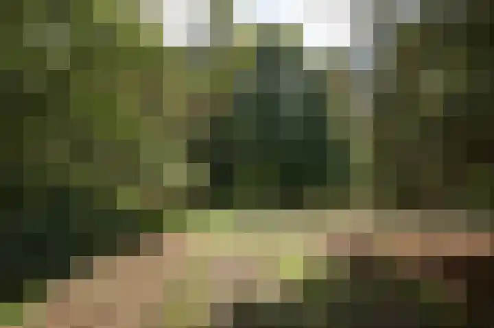 Norgerweg 137 Yde thumbnail 37