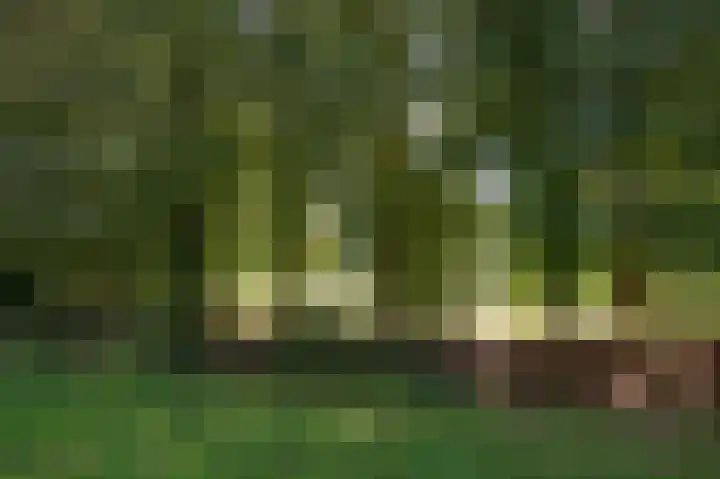 Norgerweg 137 Yde thumbnail 38