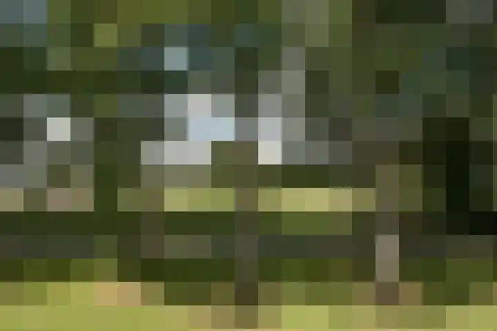 Norgerweg 137 Yde thumbnail 39