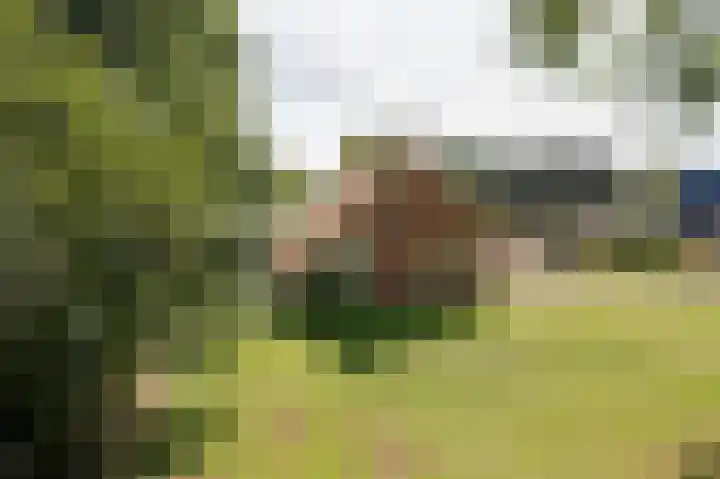 Norgerweg 137 Yde thumbnail 4