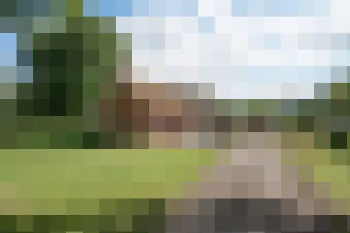 Norgerweg 137 Yde thumbnail 5